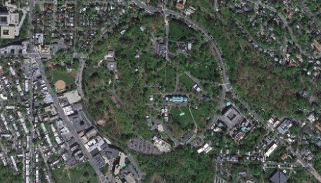 section-image-2