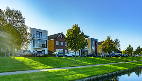 section-image-6
